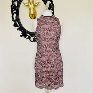 Black Swan Light Pink and Black Lace Fitted Dress